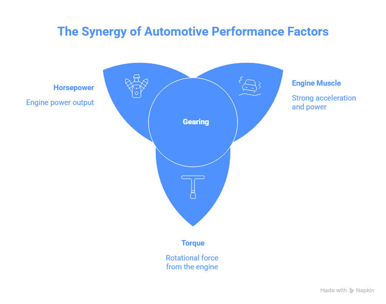 visual explanation of horsepower vs torque vs gear.